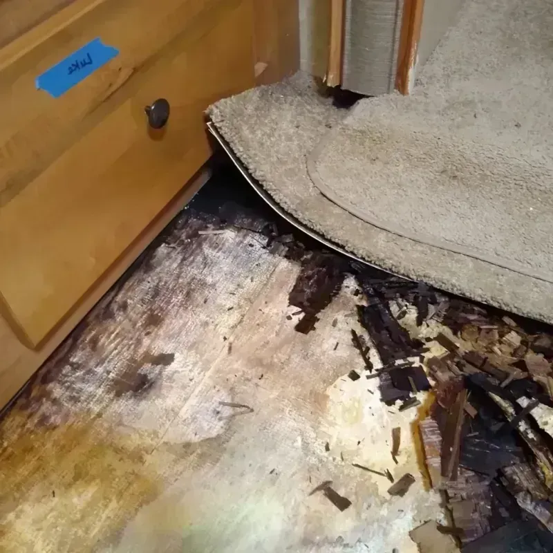 Wood Floor Water Damage in West Lawn, IL